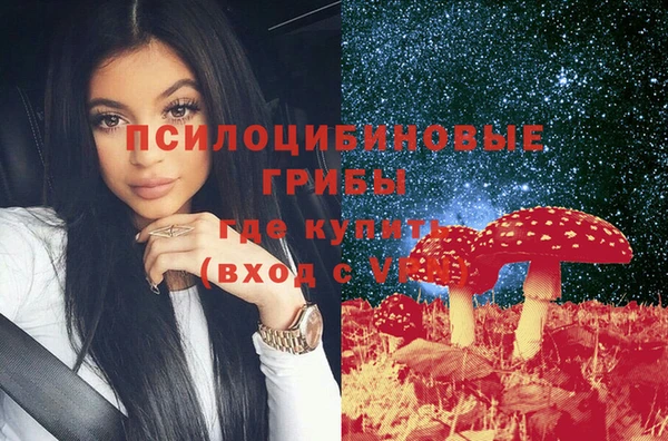дживик Алексеевка