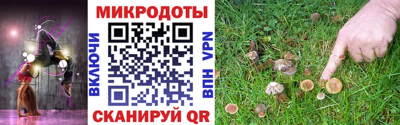закладки  Аша  сайты даркнета телеграм  Псилоцибиновые грибы Psilocybe 