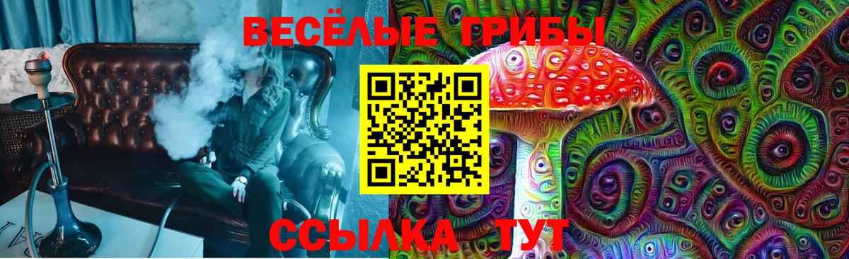 Аша  Галлюциногенные грибы мухоморы  как найти наркотики  Вход с VPN 